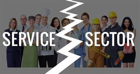 services sector erp