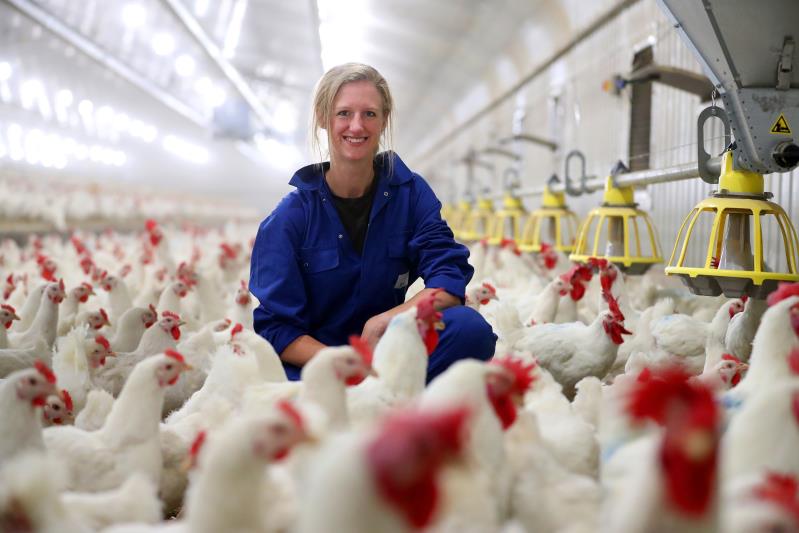 ERP for Poultry Traceability