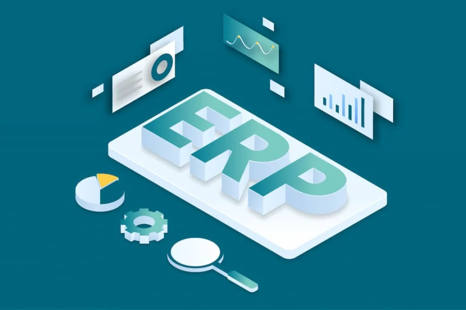 how business thrived with ERP